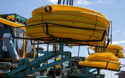 Drainage agricole en Meuse : améliorer le rendement de vos cultures