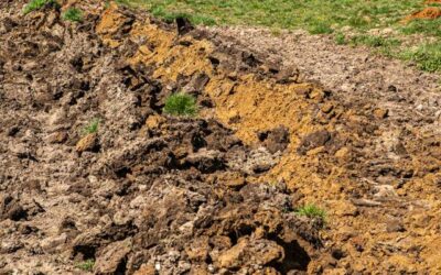 Terrassement agricole à Metz : préparer parfaitement l’assise de votre nouveau bâtiment